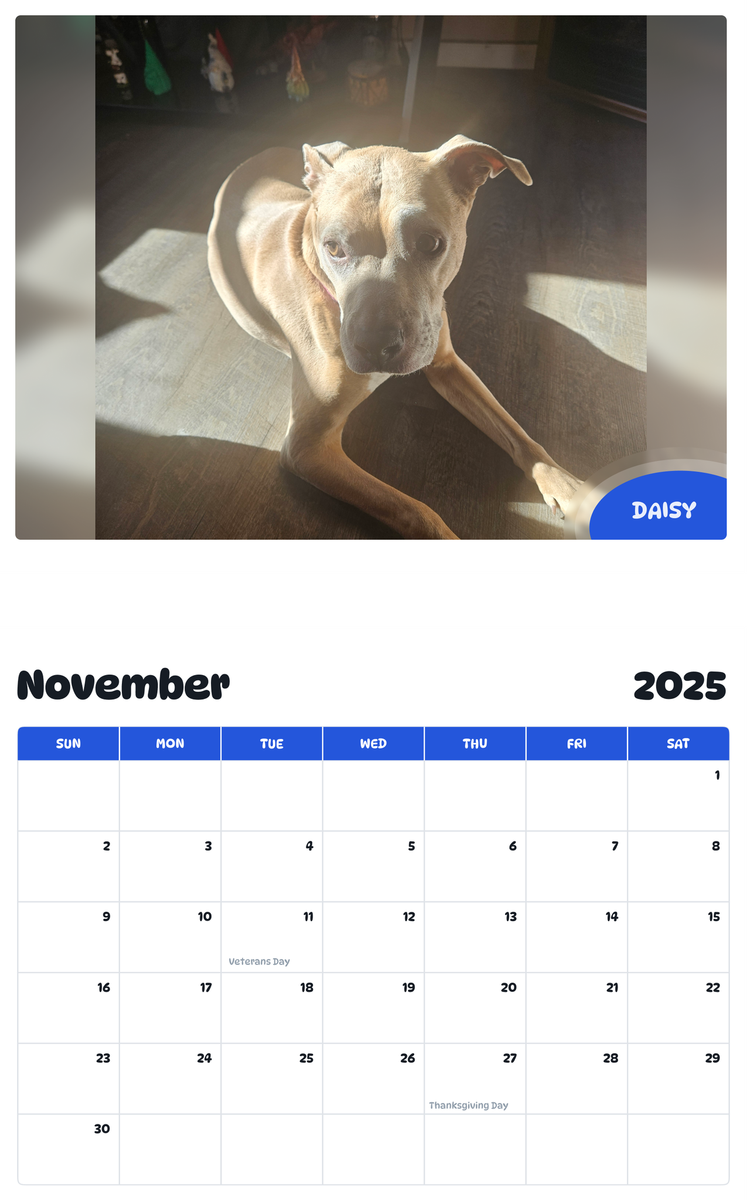 July 2025 - June 2026 Daisy - Pawidols Pet Calendar