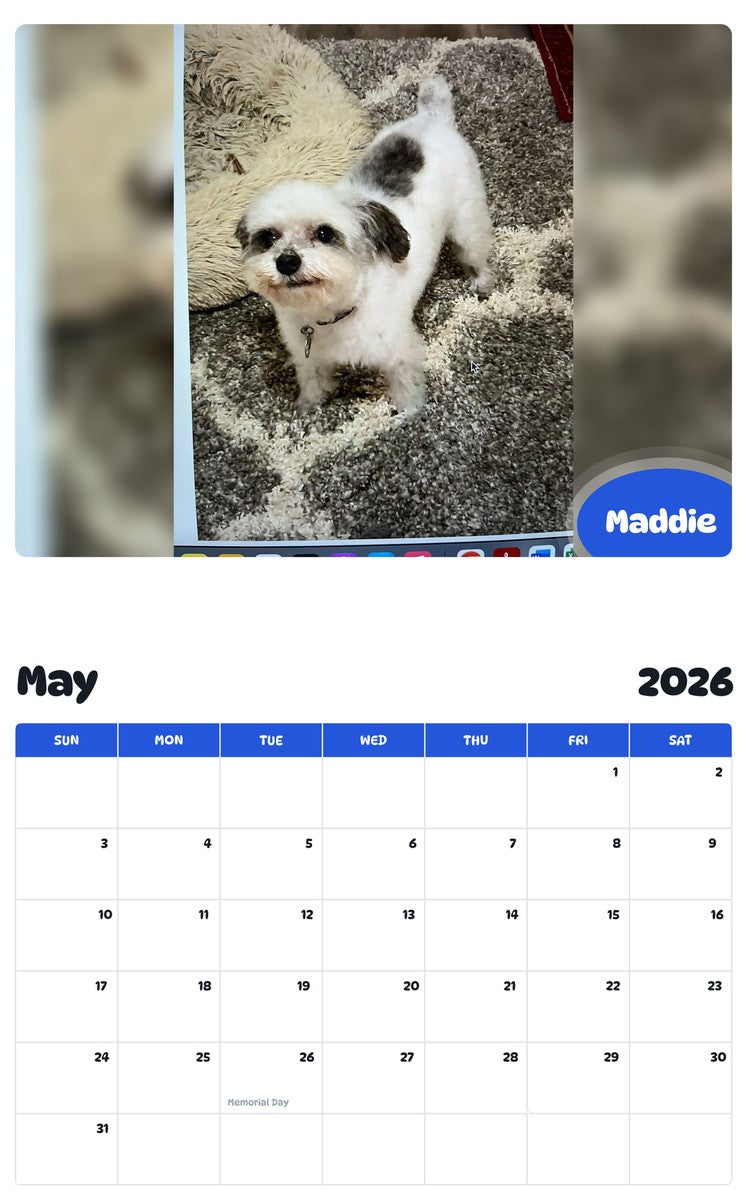2026 - 2027 Maddie - Pawidols Pet Calendar