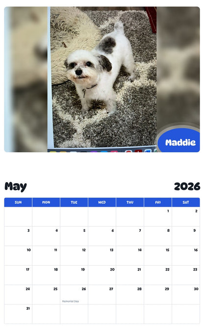 2026 - 2027 Maddie - Pawidols Pet Calendar