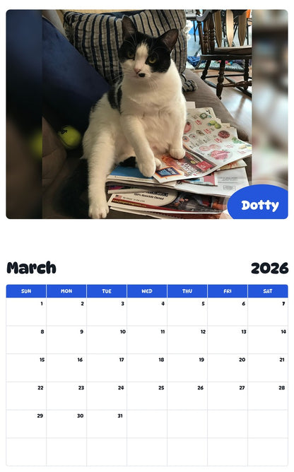 November 2025 - October 2026 Dotty - Pawidols Pet Calendar