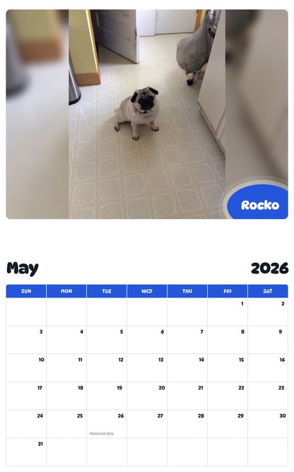 2026 - 2027 Rocko - Pawidols Pet Calendar