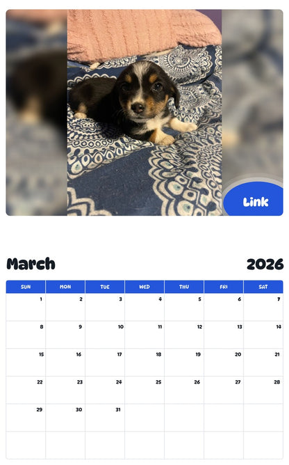 November 2025 - October 2026 Link - Pawidols Pet Calendar