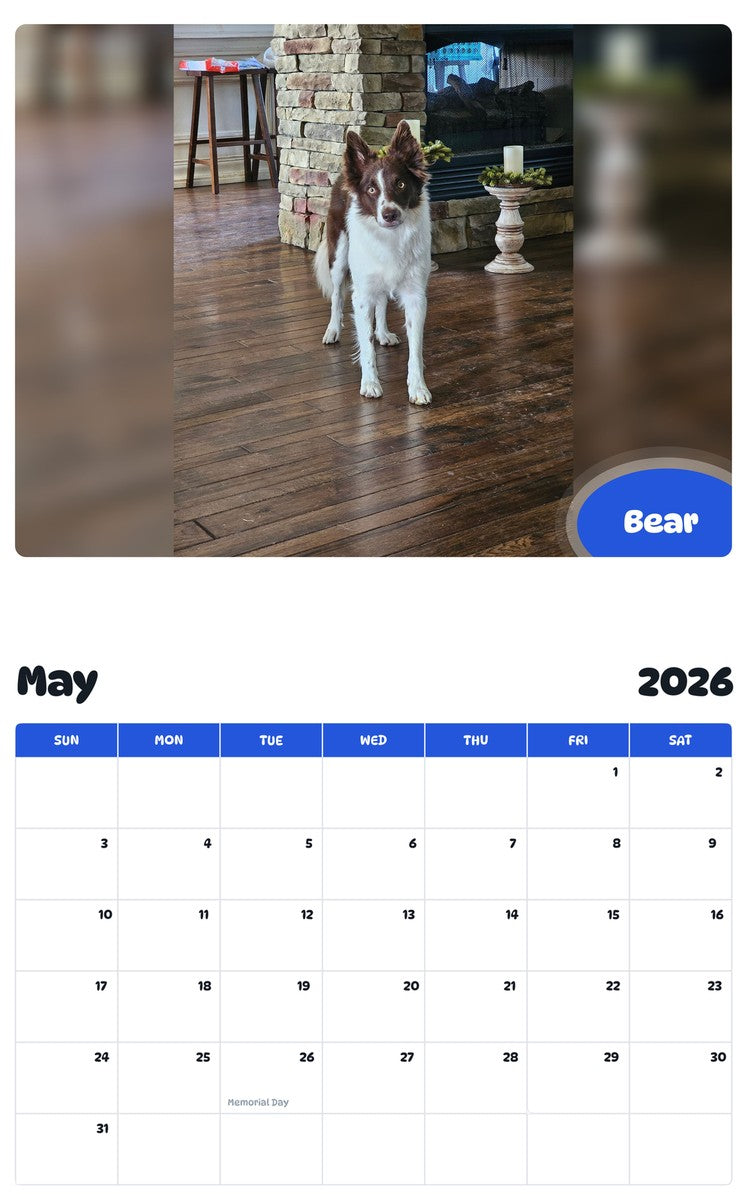 2026 - 2027 Bear - Pawidols Pet Calendar