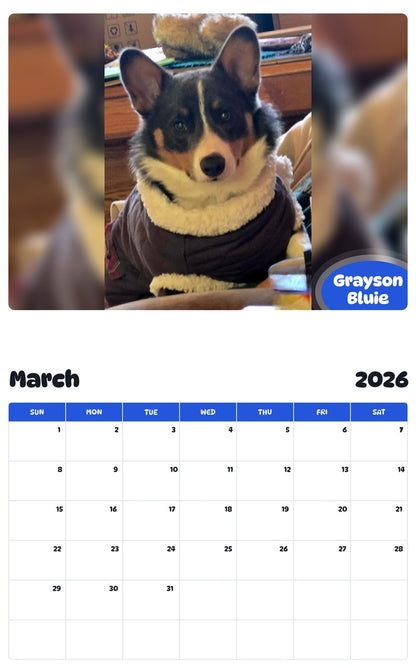 November 2025 - October 2026 Grayson Bluie - Pawidols Pet Calendar