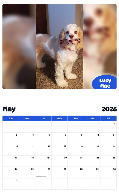 2026 - 2027 Lucy Mae - Pawidols Pet Calendar