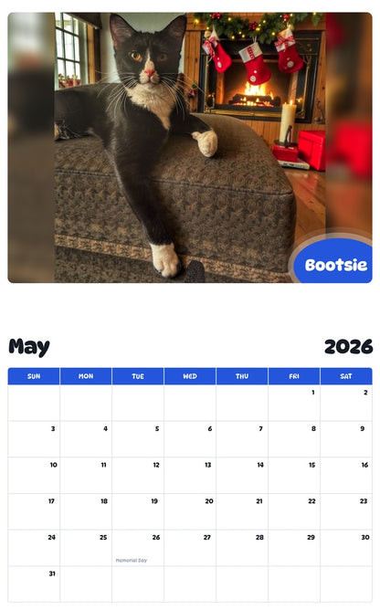 2026 - 2027 Bootsie - Pawidols Pet Calendar