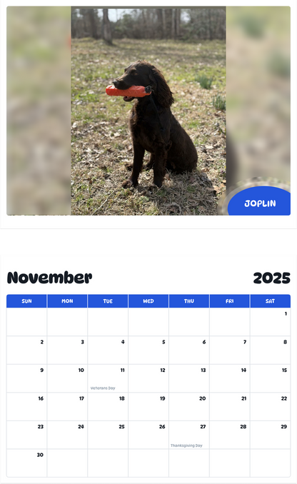 July 2025 - June 2026 Joplin - Pawidols Pet Calendar