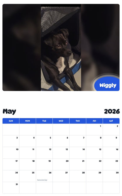2026 - 2027 Wiggly - Pawidols Pet Calendar