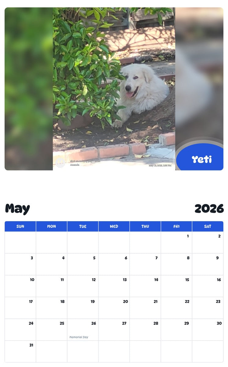 2026 - 2027 Yeti - Pawidols Pet Calendar