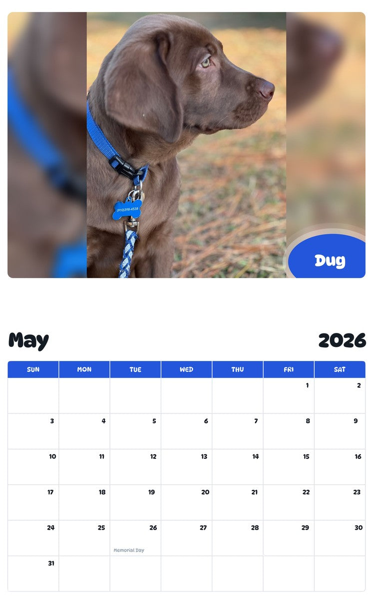 2026 - 2027 Dug - Pawidols Pet Calendar