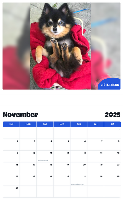 July 2025 - June 2026 LITTLE BEAR - Pawidols Pet Calendar