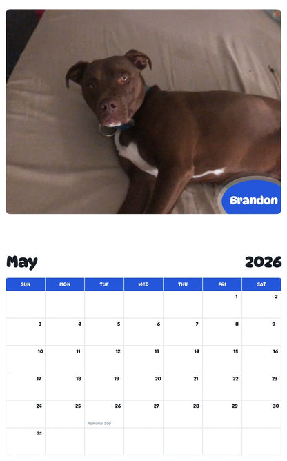 2026 - 2027 Brandon - Pawidols Pet Calendar