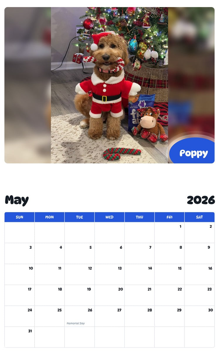2026 - 2027 Poppy - Pawidols Pet Calendar