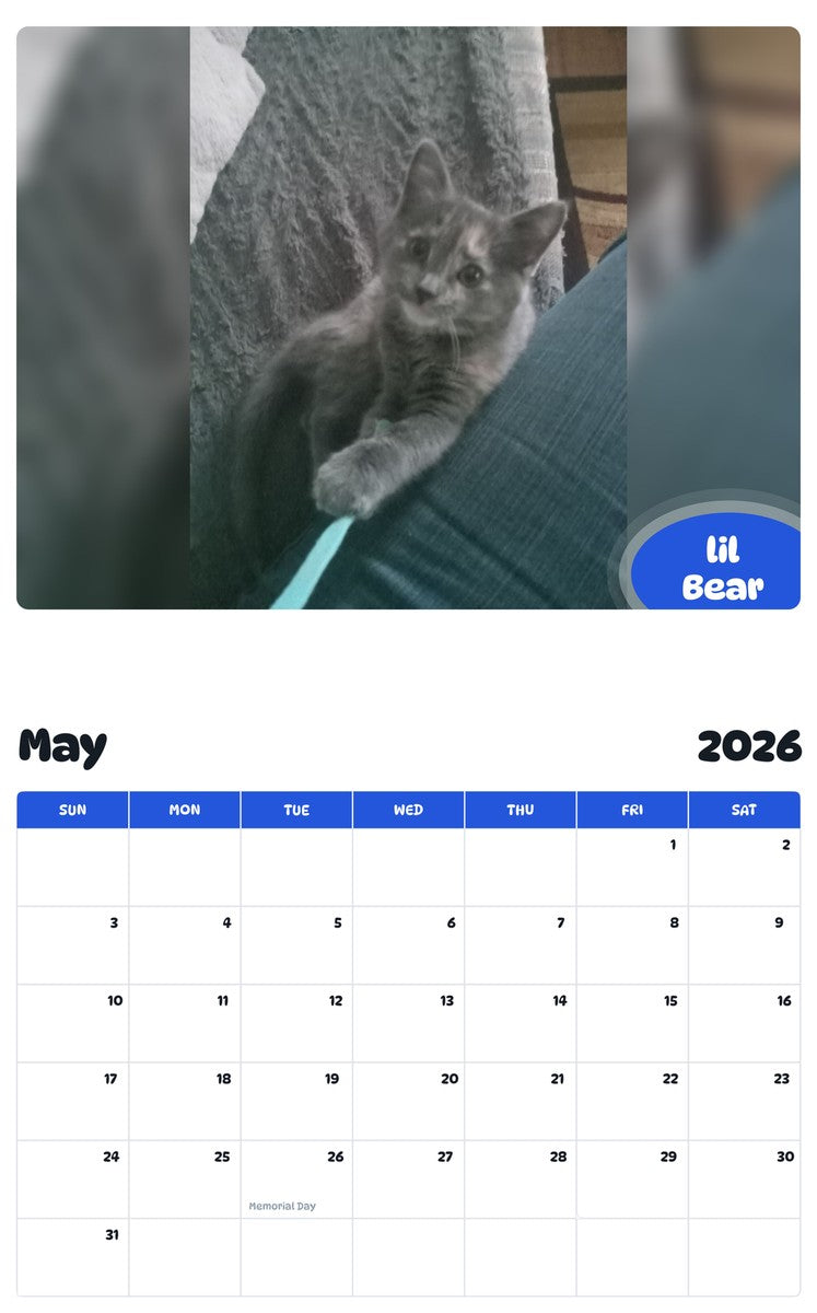 2026 - 2027 lil Bear - Pawidols Pet Calendar