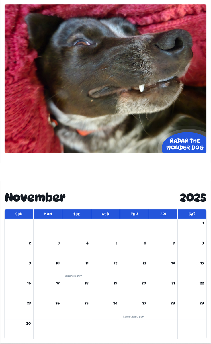 July 2025 - June 2026 Radar the Wonder Dog - Pawidols Pet Calendar
