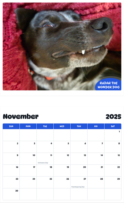 July 2025 - June 2026 Radar the Wonder Dog - Pawidols Pet Calendar