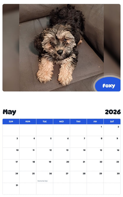 2026 - 2027 Foxy - Pawidols Pet Calendar