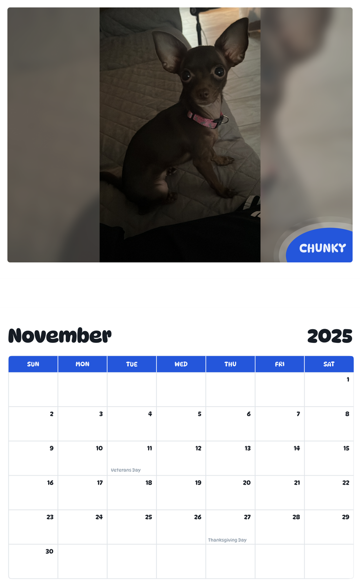 July 2025 - June 2026 Chunky - Pawidols Pet Calendar