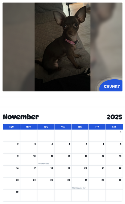 July 2025 - June 2026 Chunky - Pawidols Pet Calendar