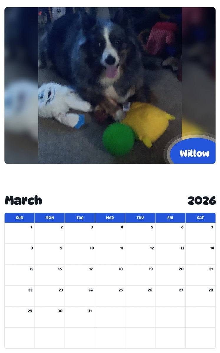 November 2025 - October 2026 Willow - Pawidols Pet Calendar