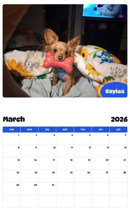 November 2025 - October 2026 Baylee - Pawidols Pet Calendar