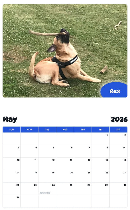 2026 - 2027 Rex - Pawidols Pet Calendar