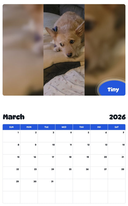 November 2025 - October 2026 Tiny - Pawidols Pet Calendar