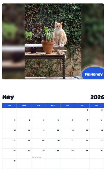 2026 - 2027 Mr.Honey - Pawidols Pet Calendar