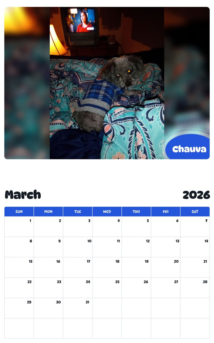 November 2025 - October 2026 Chauva - Pawidols Pet Calendar