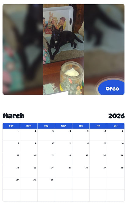 November 2025 - October 2026 Oreo - Pawidols Pet Calendar