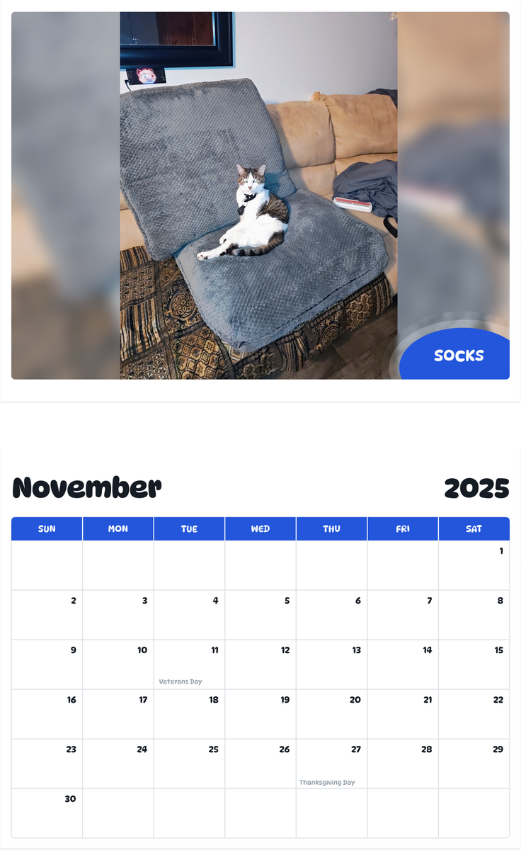 July 2025 - June 2026 Socks - Pawidols Pet Calendar