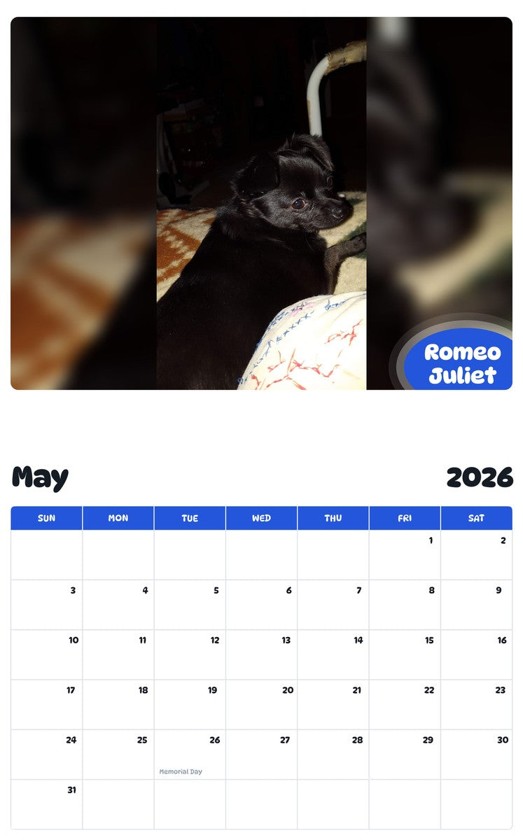 2026 - 2027 Romeo Juliet - Pawidols Pet Calendar