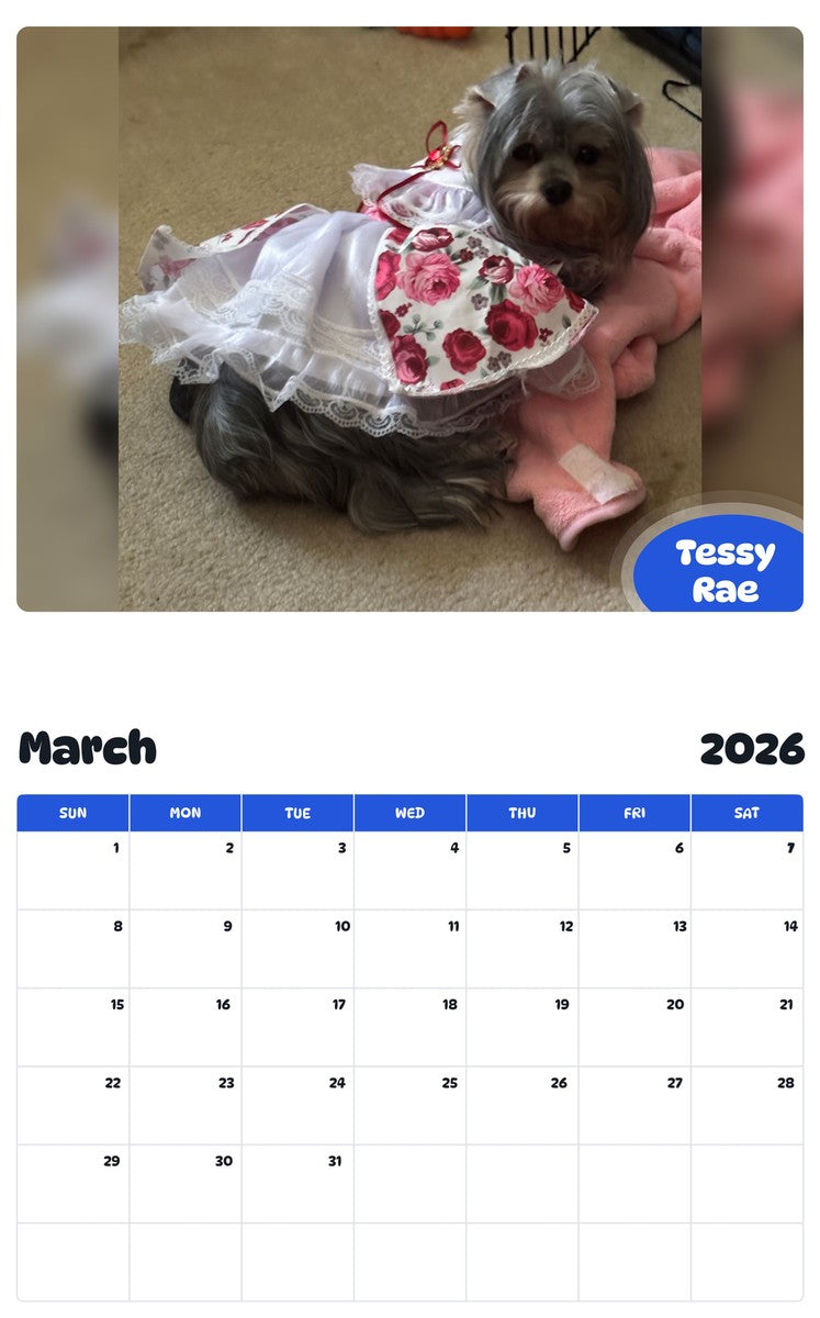 November 2025 - October 2026 Tessy Rae - Pawidols Pet Calendar