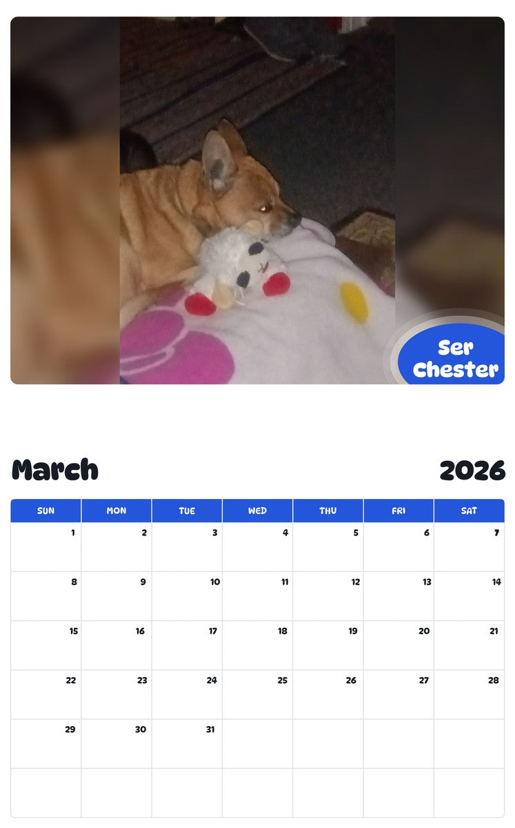 November 2025 - October 2026 Ser Chester - Pawidols Pet Calendar