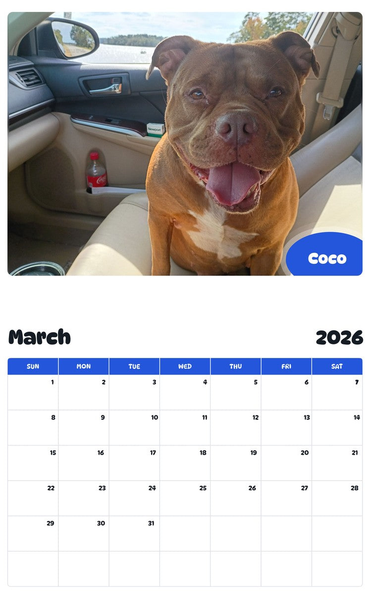 November 2025 - October 2026 Coco - Pawidols Pet Calendar