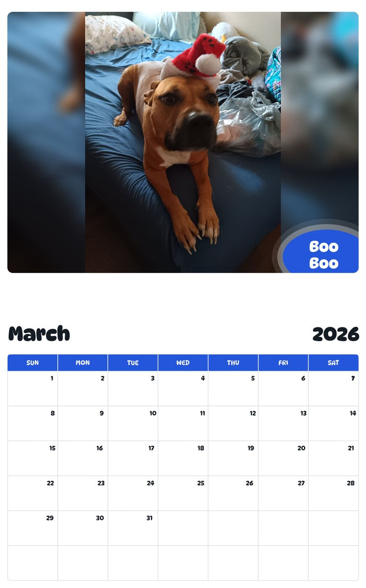 November 2025 - October 2026 Boo Boo - Pawidols Pet Calendar
