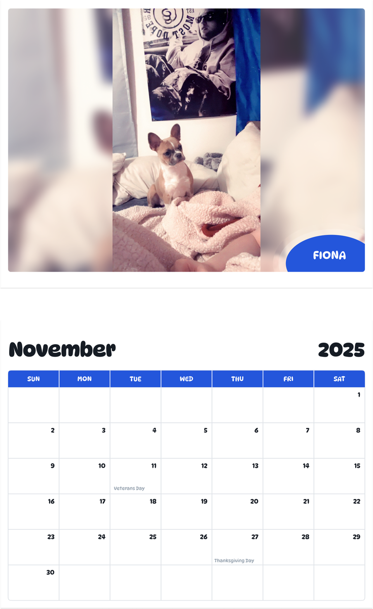 July 2025 - June 2026 Fiona - Pawidols Pet Calendar