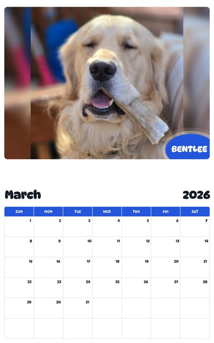 November 2025 - October 2026 BENTLEE - Pawidols Pet Calendar