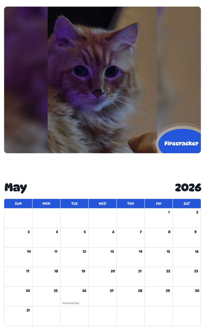 2026 - 2027 Firecracker - Pawidols Pet Calendar