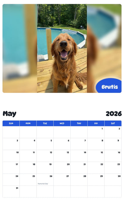 2026 - 2027 Brutis - Pawidols Pet Calendar