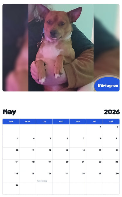 2026 - 2027 D'Artagnon - Pawidols Pet Calendar