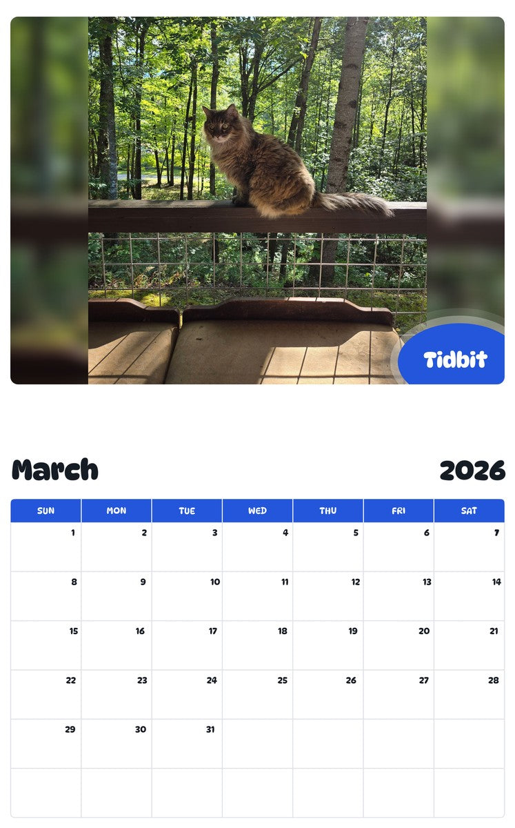 November 2025 - October 2026 Tidbit - Pawidols Pet Calendar