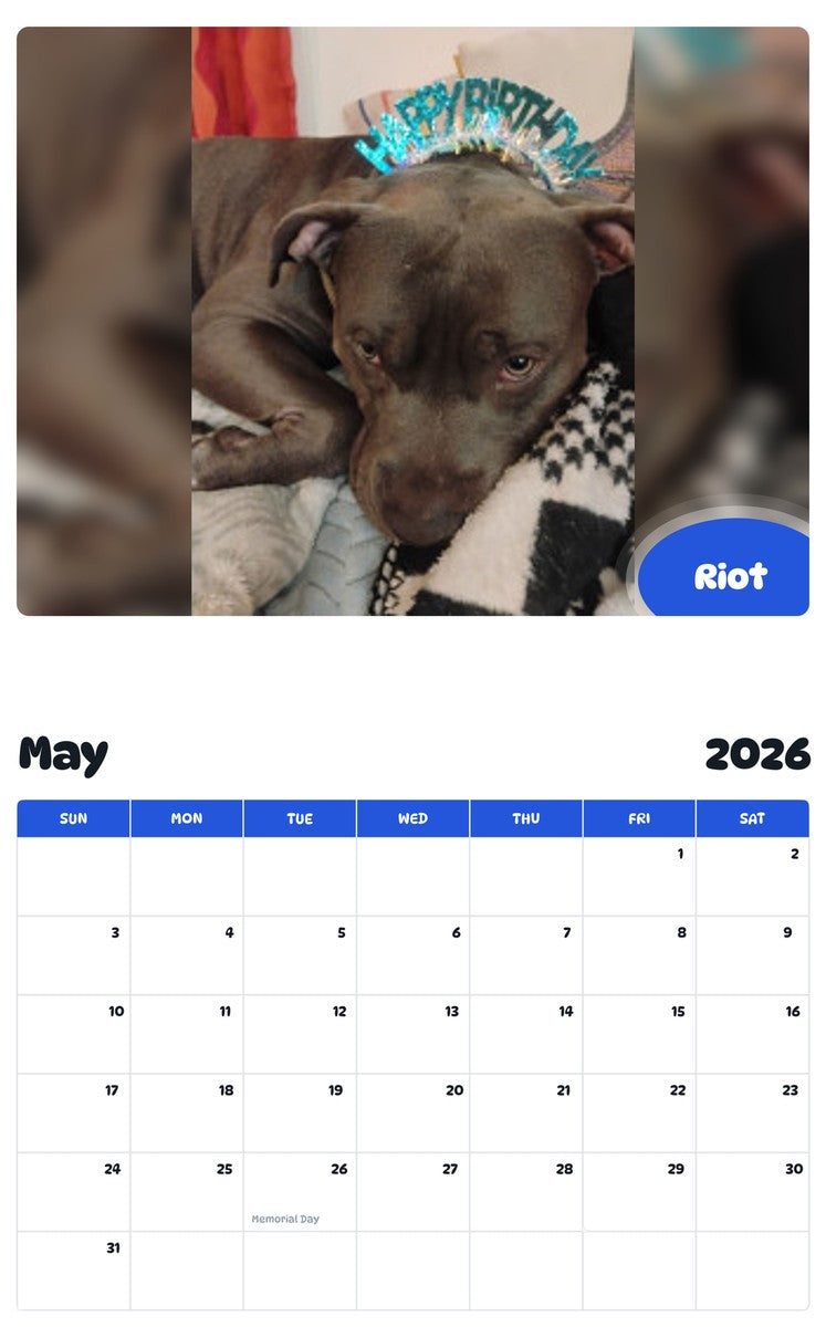 2026 - 2027 Riot - Pawidols Pet Calendar