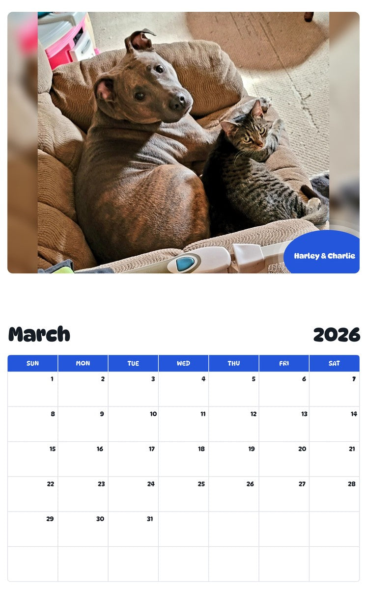 November 2025 - October 2026 Harley & Charlie - Pawidols Pet Calendar