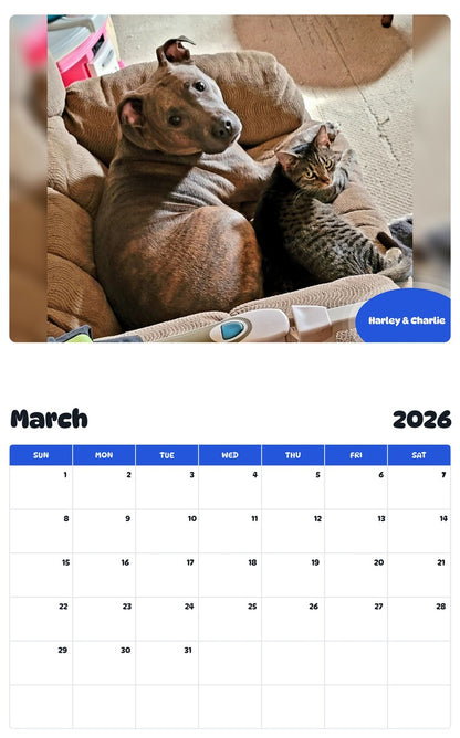 November 2025 - October 2026 Harley & Charlie - Pawidols Pet Calendar