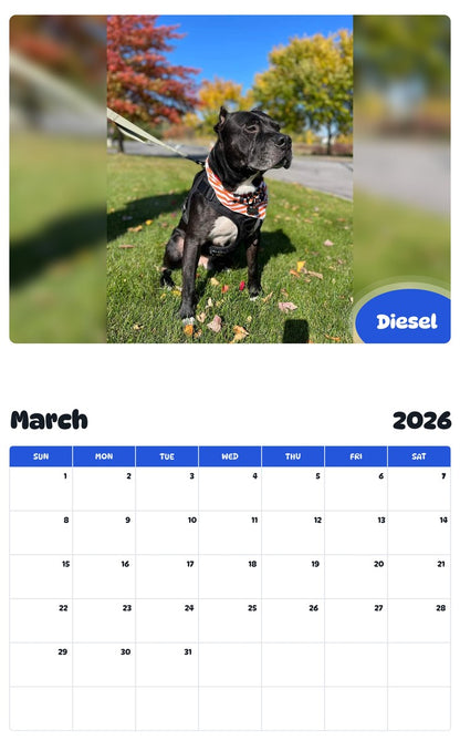 November 2025 - October 2026 Diesel - Pawidols Pet Calendar
