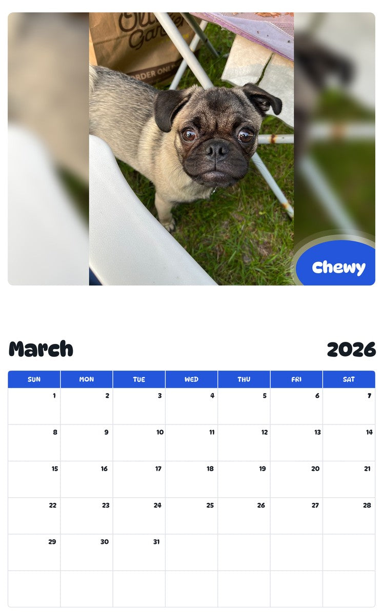 November 2025 - October 2026 Chewy - Pawidols Pet Calendar