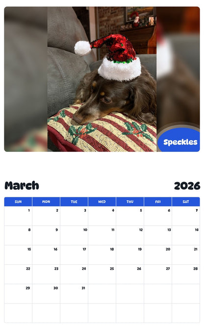 November 2025 - October 2026 Speckles - Pawidols Pet Calendar