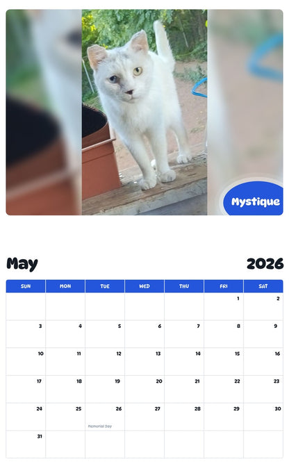 2026 - 2027 Mystique - Pawidols Pet Calendar