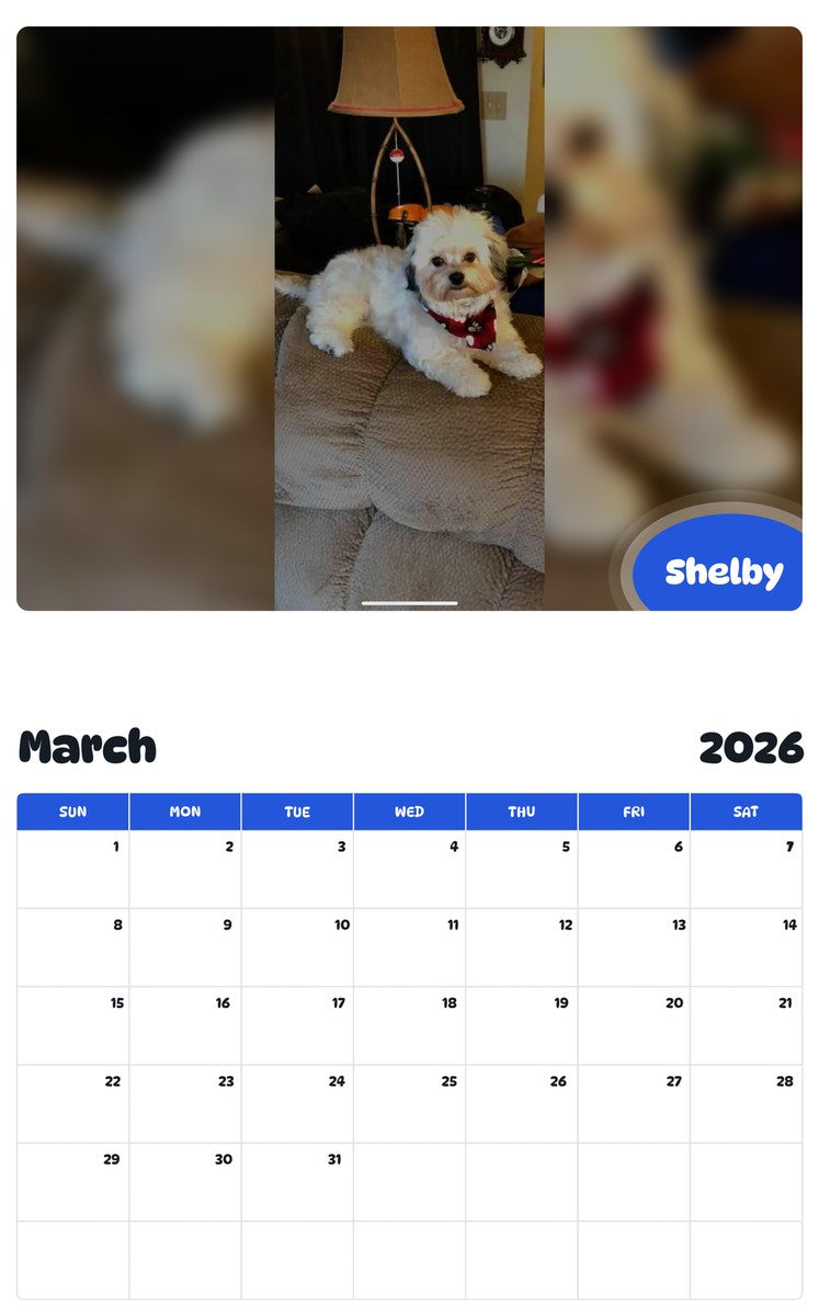 November 2025 - October 2026 Shelby - Pawidols Pet Calendar